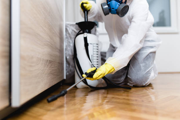 Best Flea Control Services  in Crocker, WA
