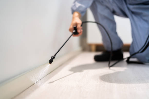 Best Cockroach Control Services  in Crocker, WA