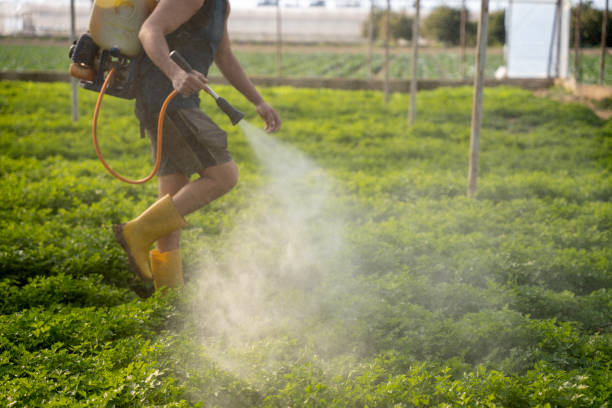 Wasp Removal Services in Crocker, WA