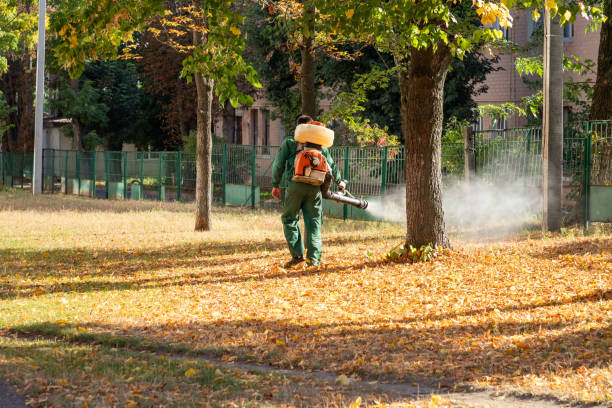 Trusted Crocker, WA Pest Control Experts