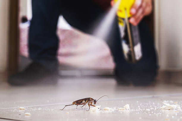 Best Mosquito Control Services  in Crocker, WA