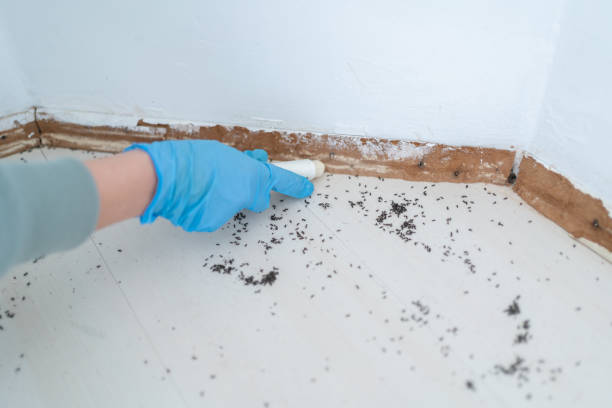 Best Pest Control Near Me in Crocker, WA
