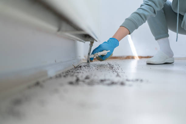 Best Ant Control Services  in Crocker, WA